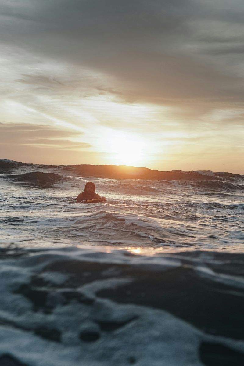 ナチュラルライフスタイル株式会社 - Image 14