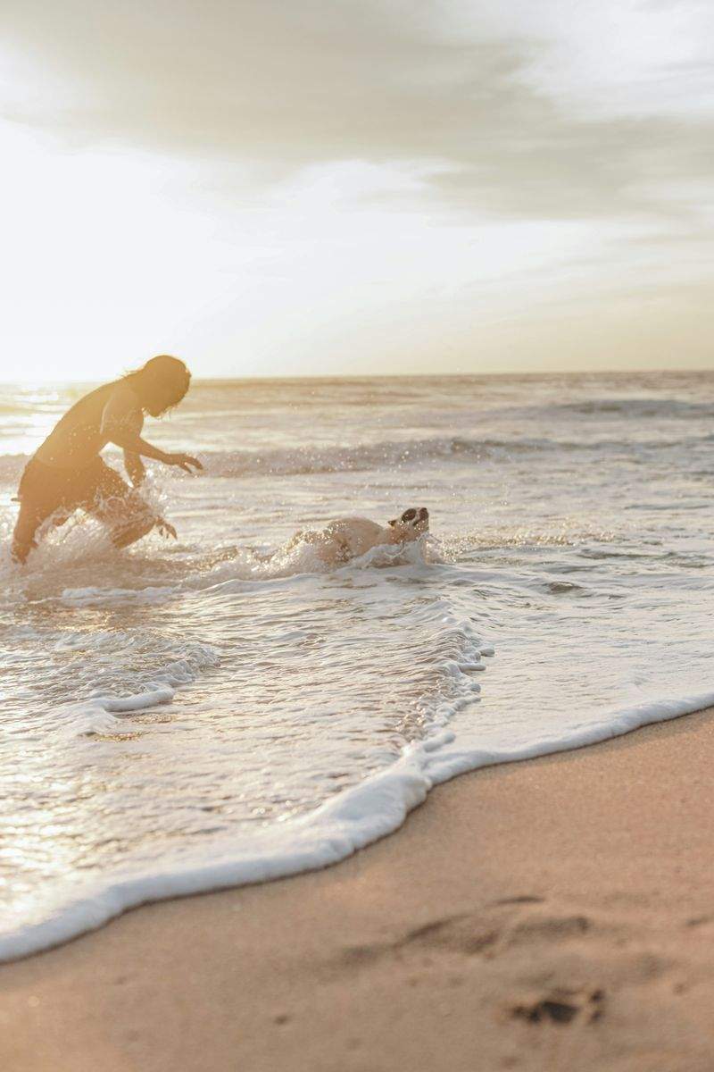 ナチュラルライフスタイル株式会社 - Image 9